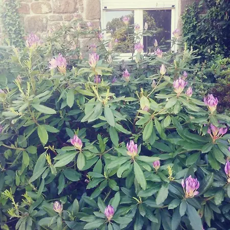 فندق مبيت وإفطار Maison Du Tertre Lonlay-l'Abbaye