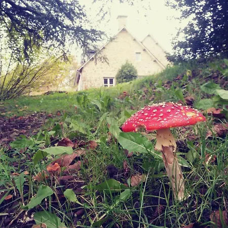 Maison Du Tertre 3* Lonlay-l'Abbaye