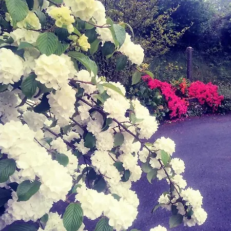 فندق مبيت وإفطار Maison Du Tertre Lonlay-l'Abbaye