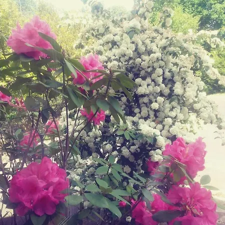 Maison Du Tertre 3* Lonlay-l'Abbaye