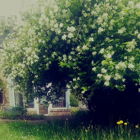 Maison Du Tertre B&B 3*