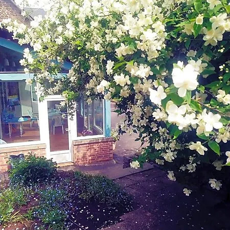 Bed & Breakfast Maison Du Tertre Lonlay-l'Abbaye
