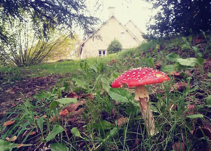 Maison Du Tertre 3* Lonlay-l'Abbaye