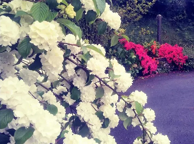 فندق مبيت وإفطار Maison Du Tertre Lonlay-l'Abbaye