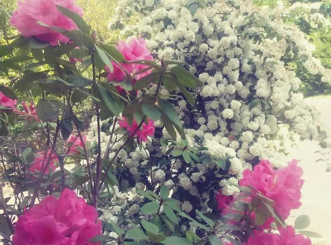 Maison Du Tertre 3* Lonlay-l'Abbaye