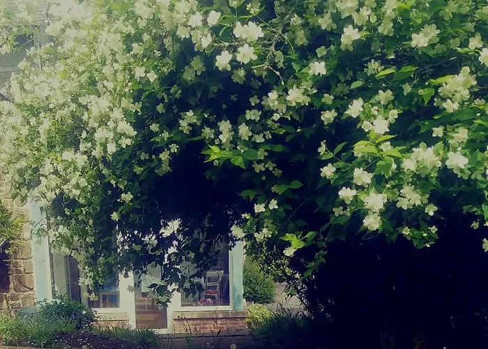 Maison Du Tertre Bed & Breakfast 3*